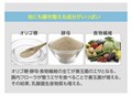Добавка "Здоровый кишечник"  Cho`rism Supplement, 30 стиков*1.2гр 01544