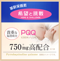 ПРЕМИУМ КОМПЛЕКС ДЛЯ МОЗГА PQQ + Плазмалоген + NMN 01906