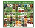 Seedcoms Wild Grass Enzyme Энзимы для улучшения обмена веществ, очищения организма и похудения, на 90 дней. 00231